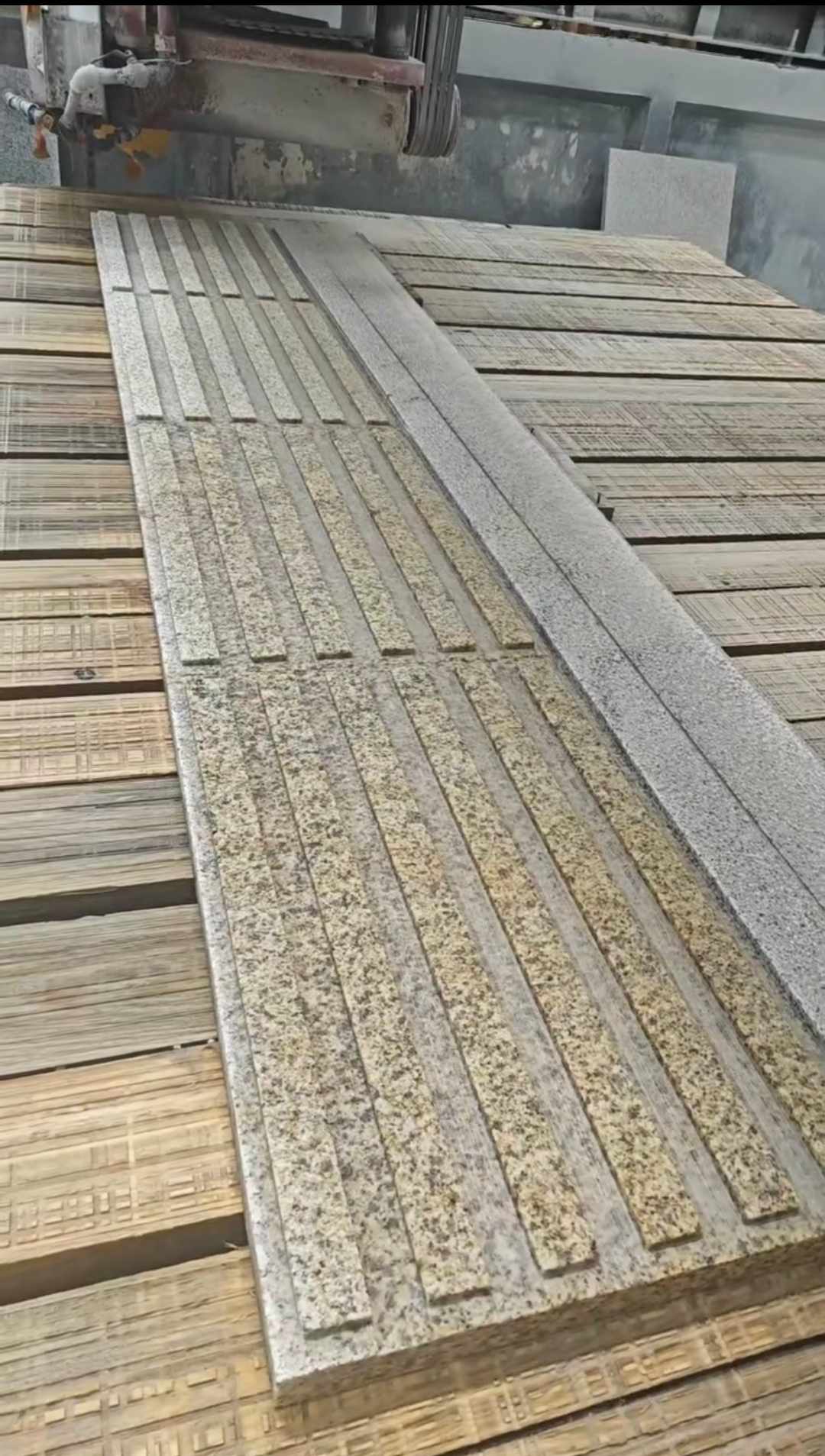 定西黄金麻盲道石 盲条